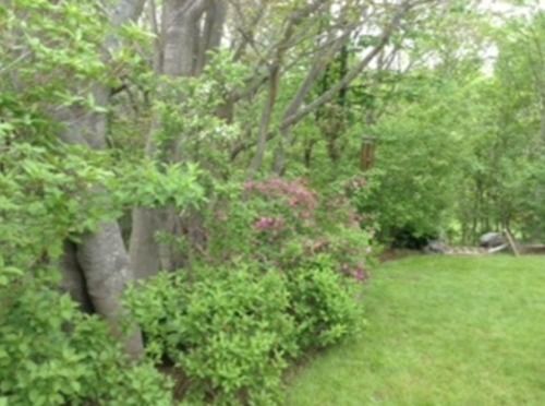 Beatonridge Guest House Halifax Exterior photo